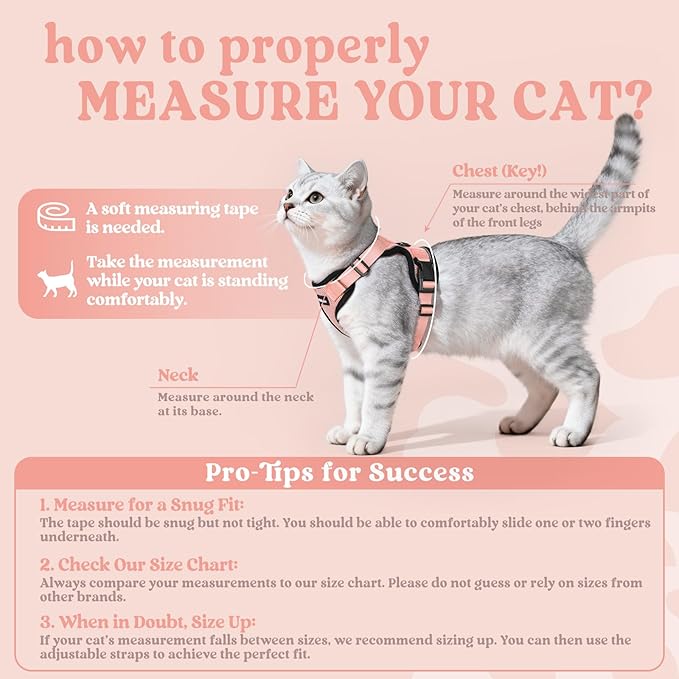 rabbitgoo Cat Harness and Leash for Walking, Escape Proof Soft Adjustable Vest Harnesses for Cats, Easy Control Breathable Reflective Strips Jacket, Light Salmon Pink, S