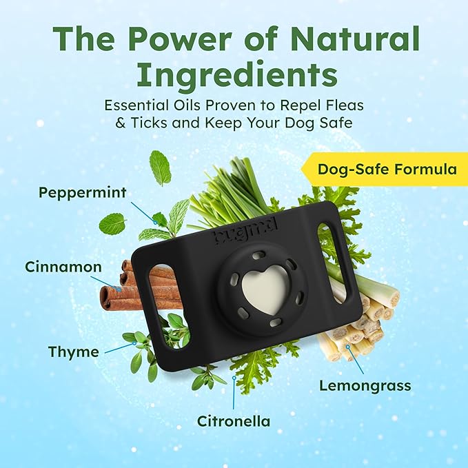 BugMD Paw Guardian Flea and Tick Prevention Pendant for Dogs with AirTag Holder | Plant-Powered Flea & Tick Control for Dog Collars Harnesses | Dog Tag with Air Tag Holder - Black