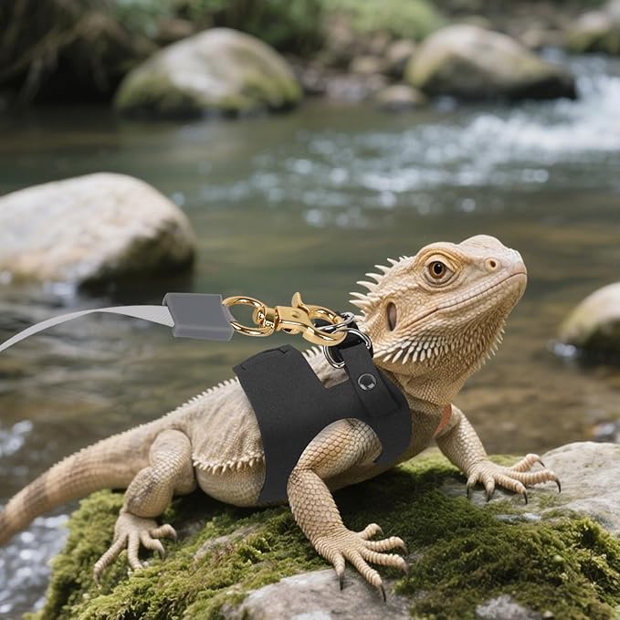 3Pack Bearded Dragon Leash and Harness Set, Bearded Dragon Accessories Clothes Stuff, Adjustable Easy Walk Rat Harness with 6.56 ft, Vest Accessories for Reptile Squirrel Rat Walking (3 Size, Black)