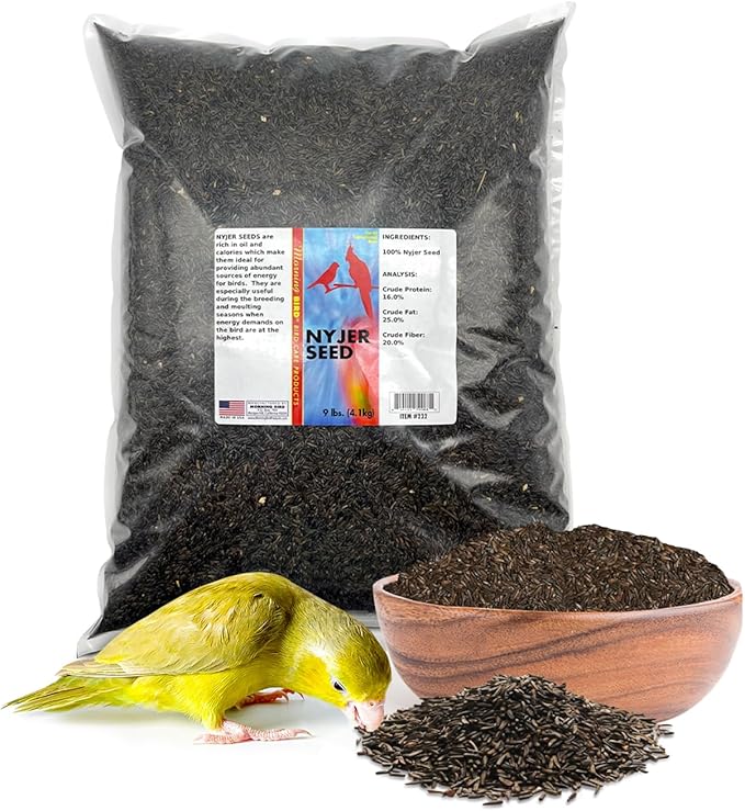Morning Bird Nyjer Seed for Birds 9 lbs – Energizing Nutrition with Rich in Vitamins and Supplements – Ideal Bird Food for Breeding & Molting – Nyjer & Finch Seed for All Birds
