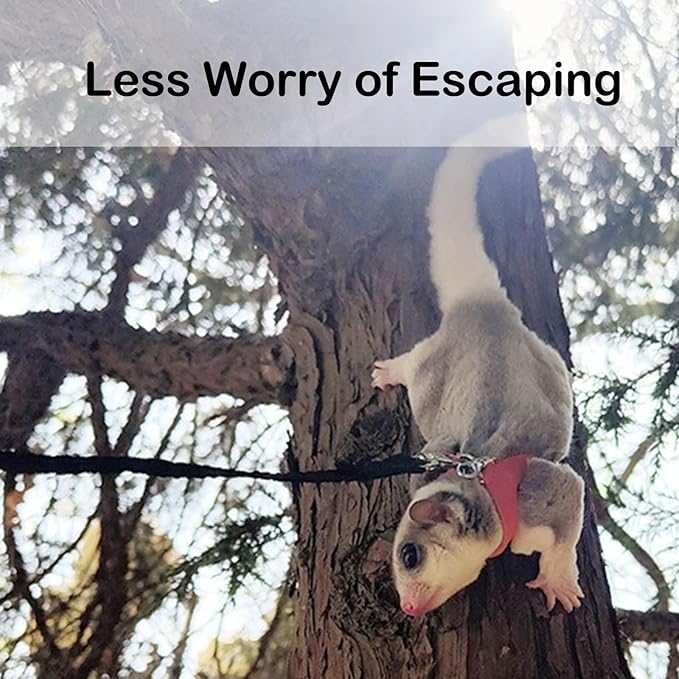 3 Pack Sugar Glider Harness and Leash Set Small Animal Training Walking Vest for Squirrel Hamster Rat Blue