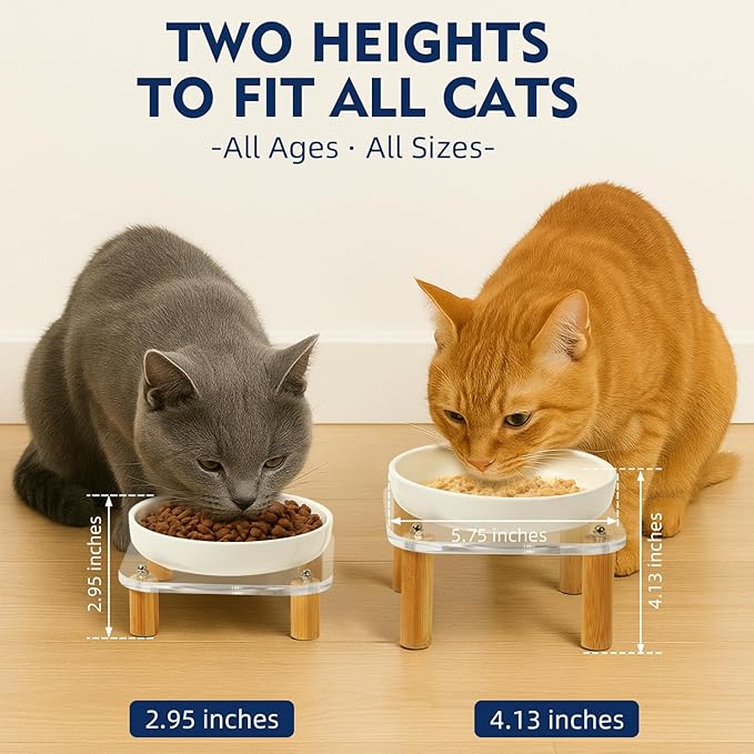 Elevated Cat Bowls for Indoor Cats – Raised Acrylic Cat Bowl Stand with 5.8 Inch Wide Ceramic Dishes, Pet Food Table Plate for Easy Feeding, Whisker Friendly(White,Set of 2)