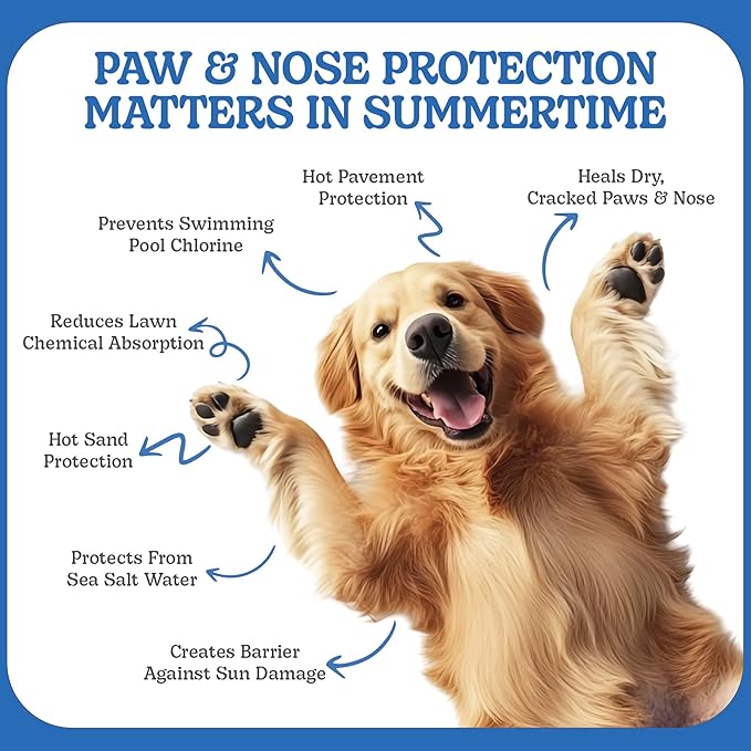 BoneItUp Natural Pet Paw Balm for Dogs, 30g – Soothing Moisture for Dry, Cracked Pads – Paw Butter for Dogs with Beeswax, Mango Butter, Coconut & Olive Oil – Safe & Gentle Dog Palm Balm