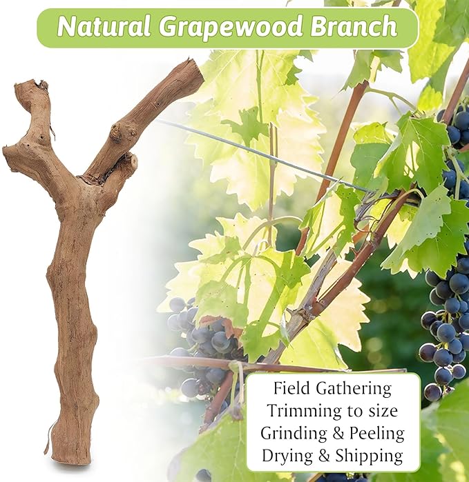 VCEPJH 4 Pcs Reptile Plants, Climbing Wood Branch Terrarium Hanging Fake Plant Leaves Bearded Dragon Tank Accessories, Habitat Decor for Snake Leopard Gecko Lizard Chameleon (Style 1)