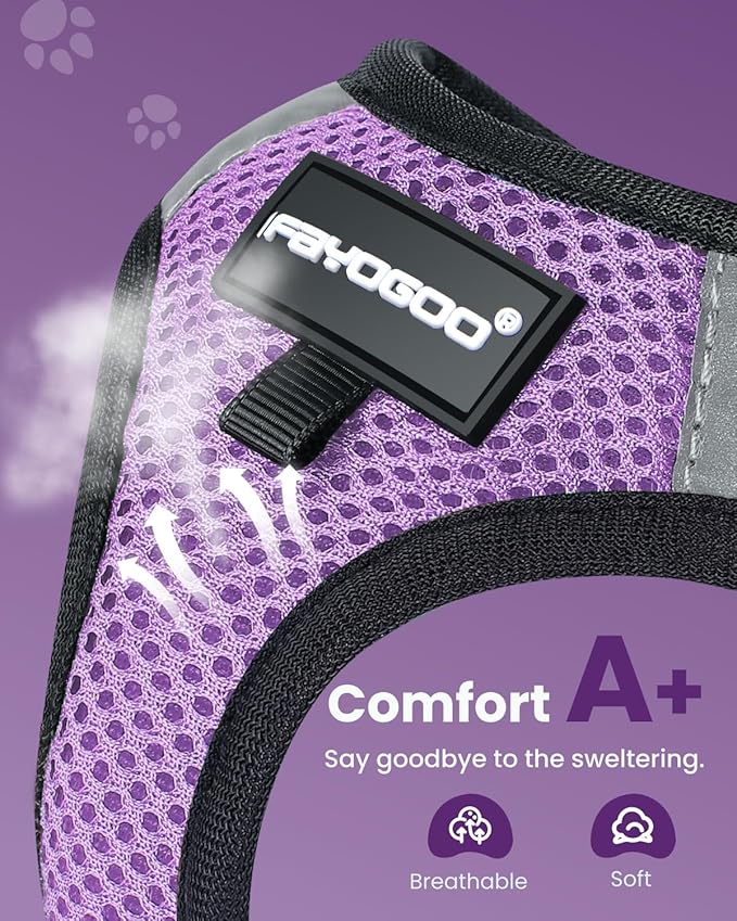 FAYOGOO Cat Harness, Cat Leash and Harness Set for Walking Escape Proof, Harness for Small Cats/Small Dogs, Large Kitten/Puppy Harness and Leash, Harness for Cats,XXL(Modern Violet, Medium)