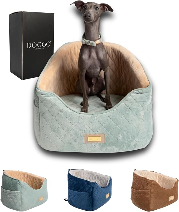 Premium 2-in-1 Dog Car Seat & Home Bed for Small Dogs – Premium Travel Pet Bed with Safety Straps, Stylish Design, Soft Plush Cushion & Secure Portable Comfort – Under 30lbs (Green)