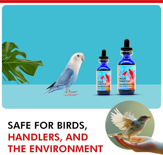 Morning Bird Milk Thistle & Dandelion Extract 1 fl oz - Organic Bird Supplement for Optimal Health – Support Liver Heath & Promotes Detox - Suitable for All Birds Species