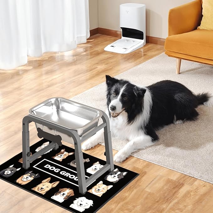 1.2 Gallon Elevated Dog Water Bowl, Height Adjustable (11–17'') Raised Stainless Steel Bowl with Spill-Proof Mat & Sturdy Metal Stand, Tip-Proof, Easy to Clean, Indoor & Outdoor Use
