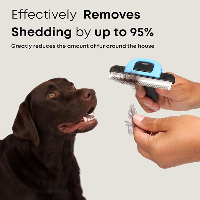 Freshly Bailey Deshedding Brush for Short Haired Dogs & Cats - Cat and Dog Brush for Shedding Short Hair - Highly Effective Deshedder Grooming Comb