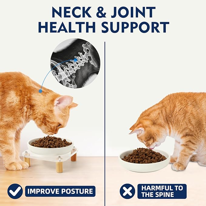 Elevated Cat Bowls for Indoor Cats – Raised Acrylic Cat Bowl Stand with 5.8 Inch Wide Ceramic Dishes, Pet Food Table Plate for Easy Feeding, Whisker Friendly(White,Set of 2)