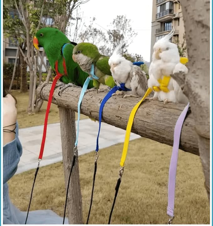 Pet Parrot Bird Harness Leash Adjustable Bird Flying Harness Traction Rope with Cute Wing for Parrots Pigeons Budgerigar Lovebird Cockatiel Mynah Outdoor Training Toy (S, Purple)