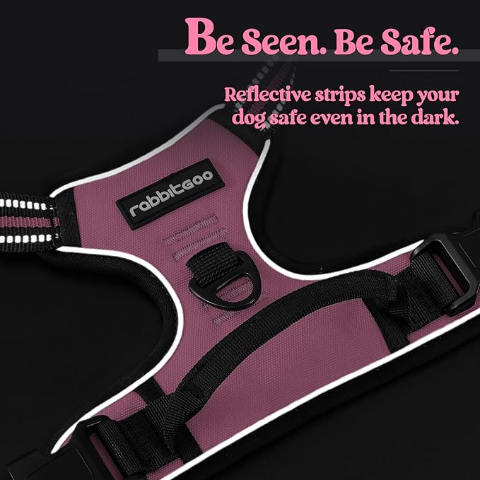 rabbitgoo Dog Harness No Pull with 2 Leash Clips, Adjustable Soft Padded, Reflective Oxford No Choke Pet Vest with Easy Control Handle for Small Dogs, Pink, S