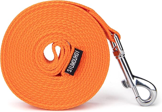 Strong Durable 6ft Nylon Dog Training Leash, 1 Inch Wide Traction Rope, for Small and Medium Dog (Orange, 6 Feet)