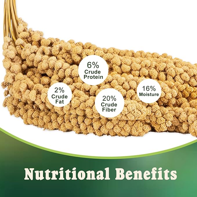 RANZ 5LBS Millet Spray for Birds, GMO-Free, Sun Dried Spray Millet, Original Bird Treats & Supplement for Parrots, Cockatiels, Lovebirds, Painted Buntings and Finches, Parakeets Food