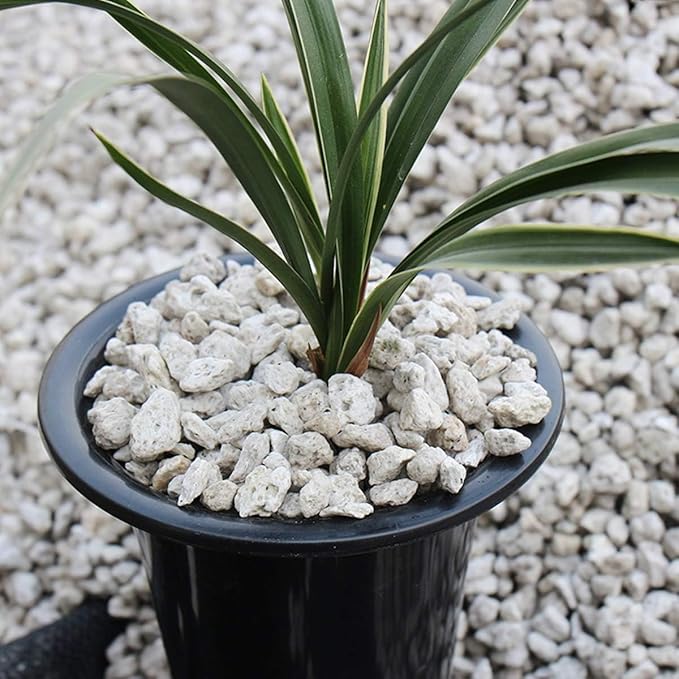 TOYPOPOR Horticultural Bonsai Pumice Succulent Cactus Plants Garden Turface Pumice Gravel Rock Tree Soil Additive Faster Draining Blend, Optimal Drainage, Improves Soil Aeration and Promotes Root 6lbs