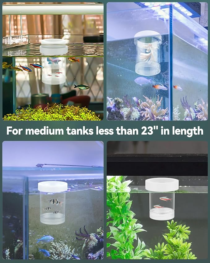 Pawfly Breeder Box for Fish Tank, Aquarium Fish Breeding Box, Floating Guppy Breeder Box, Baby Fish Separator for Aquarium, Plastic Hatchery Incubator Isolation Box for Shrimp Betta Clownfish, Medium