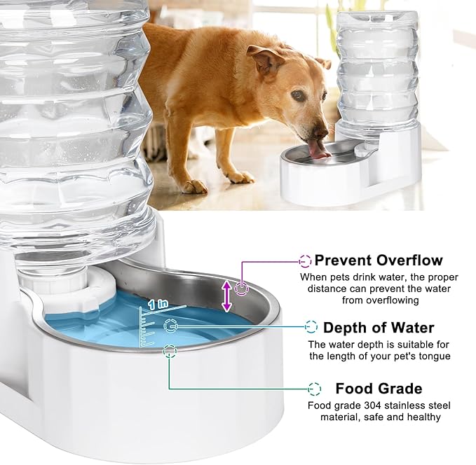 RIZZARI Large Gravity Water Dispenser: 8L Automatic Dog Water Feeder with Stainless Steel Bowl for 20-35 LB Senior Pets with Spinal Problems - for Kitchen Living Room