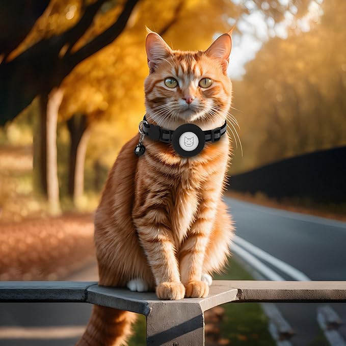2 Pack Airtag Cat Collar with Bell, Reflective Nylon Kitten Collar with Apple Air Tag Holder and Breakaway Safety Buckle for Puppy Girl Boy Cats, 3/8" in Width and Lightweight, Black/Orange