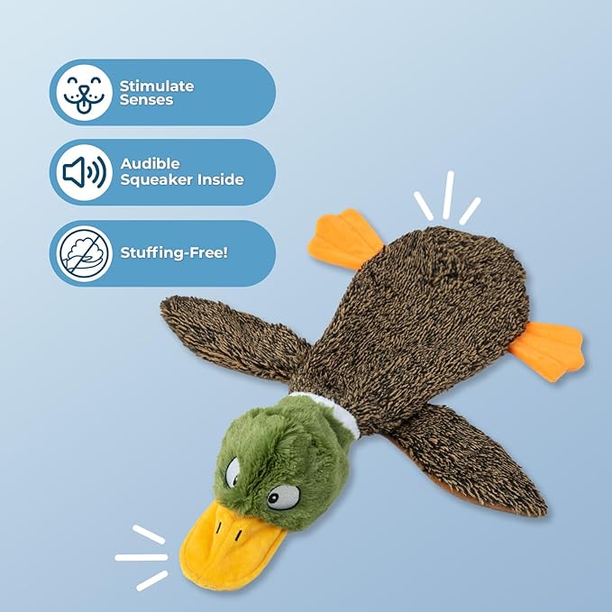 Best Pet Supplies Squeaky Dog Toys with Soft Durable Fabric for Small, Medium and Large Pets Interactive Toy for Indoor Play, Supports Active Biting and Play - 1Wild Duck, Small