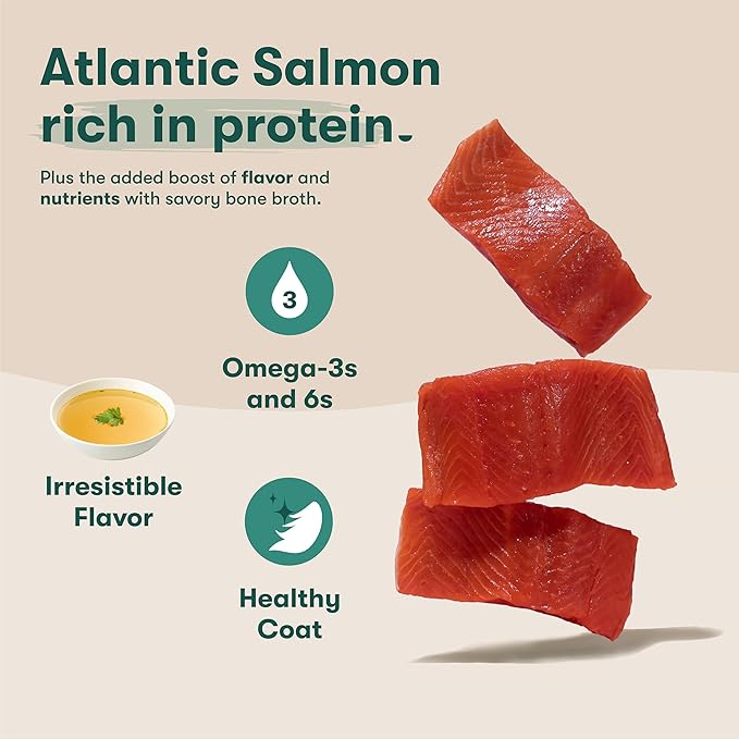 Jinx Wet Dog Food Topper, Mix with Dry Dog Food, Made with Real Salmon & Chicken, Bone Broth, No Fillers, for All Lifestages, 9oz, 1 Pack