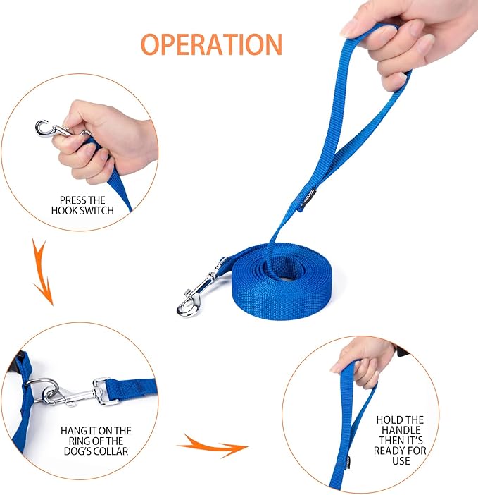 Strong Durable Nylon Dog Training Leash, 1 Inch Wide Traction Rope, 6 ft 10ft 15ft Long, for Small and Medium Dog (Blue, 10 Feet)