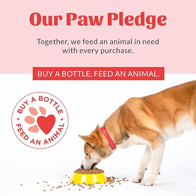 SKOUT'S HONOR Pet Urine & Odor Destroyer Concrete & Turf - Professional Strength, Plant-Powered, Cruelty-Free Urine Eliminator for Concrete, Turf, and Outdoor Living Spaces 32 oz.