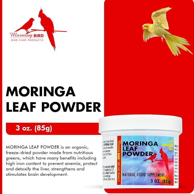 Morning Bird Moringa Leaf Powder 3 oz – Natural Food Supplement for Birds, Rich in Vitamins & Minerals, Boosts Immune System & Energy, Supports Healthy Feathers, Digestion, and Overall Avian Wellness
