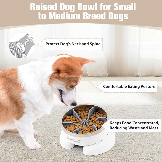 Raised Dog Bowl Stand with Slow Feeder Thick Stainless Steel Food Bowls for Large or Medium Sized Dogs Non-Slip Tilted Dog Feeder Station, Neck and Nose Protective Pet Bowl, 4 Cups (32 oz), White