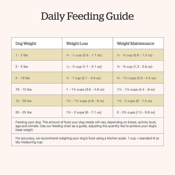 Now Fresh Grain-Free Small Breed Dry Dog Food with Turkey, Salmon & Duck, Healthy Kibble for Adults Made with Real Meat & Fish, Chicken-Free Recipe, Pumpkin & Probiotics for Good Digestion, 22 lb Bag