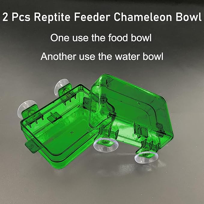 Tfwadmx 2 Pcs Reptile Feeder Chameleon Bowl Water Dish with Suction Cup Gecko Worm Feeder Anti-Escape Chameleon Supplies Accessories for Iguana Lizard Bearded Dragon Snakes （Green,S）
