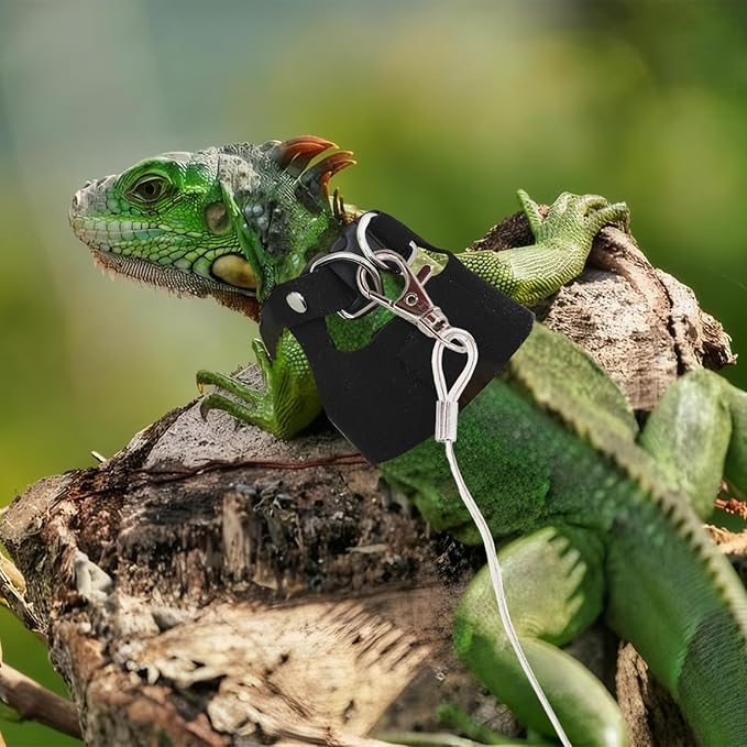 Bearded Dragon Leash and Harness Set, 3 Size Adjustable Soft Leather Lizard Leash Training Walking Prevent Escape, Spring Can be Stretched to 3m, for Iguana Squirrels Small Reptiles Outdoors (Black)