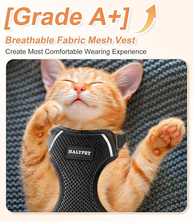 Halypet Cat Harness and Leash Set [ MAX Safety Third Generation ] Escape Proof Soft Adjustable Cat Leash Breathable Comfortable Vest Easy to Wear Kitten Harness for Outdoor Walking Black Small