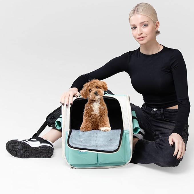 Pet Backpack Carrier for Small Dogs, Cats, Kittens, Rabbits – Airline Approved Travel Bag with Breathable Mesh and Padded Straps – Soft-Sided Cat Carrier Backpack for Hiking, Camping, Trips