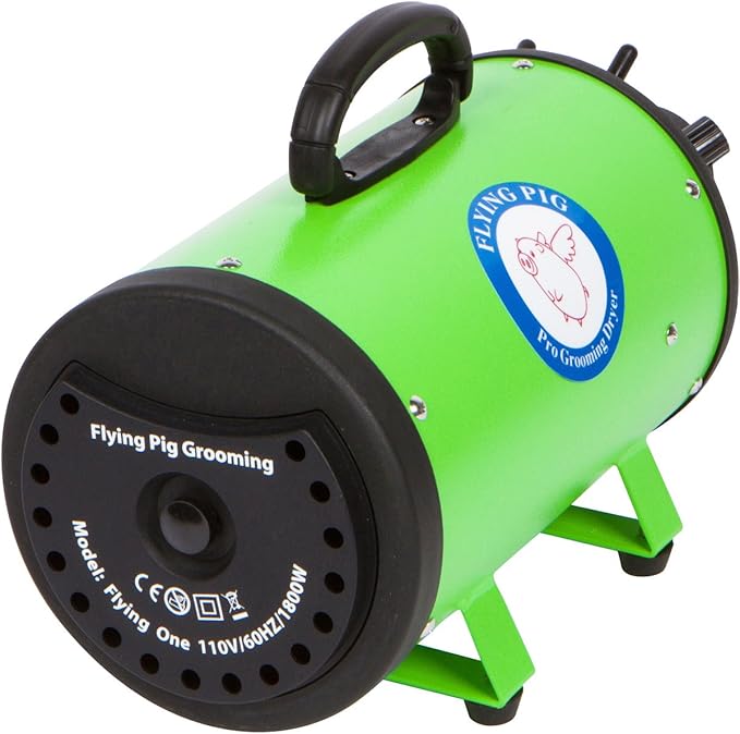 Flying Pig High Velocity Dog Pet Grooming Dryer w/Heater (Model: Flying One, Green)