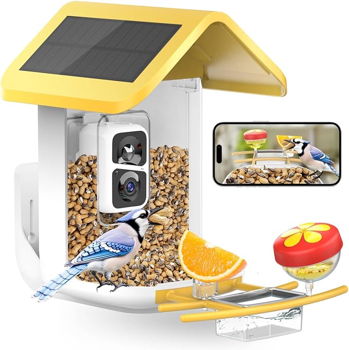 Bird Feeder with Camera: Solar Powered Smart Bird Camera Feeder 2K Live Feed for Backyard - AI Identify Auto Capture Videos, Gifts for Birdlovers Mom Dad, 2.4GHz WiFi