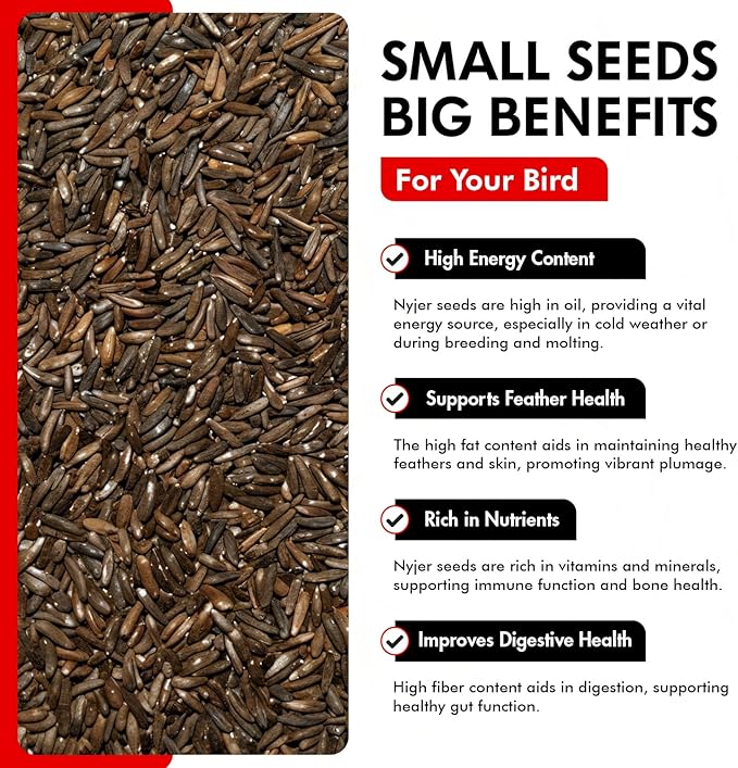 Morning Bird Nyjer Seed for Birds 4.5 lbs (3-Pack, 1.5 lbs Each)– Energizing Nutrition with Rich in Vitamins and Supplements – Ideal Bird Food for Breeding & Molting – Finch Seed for All Birds
