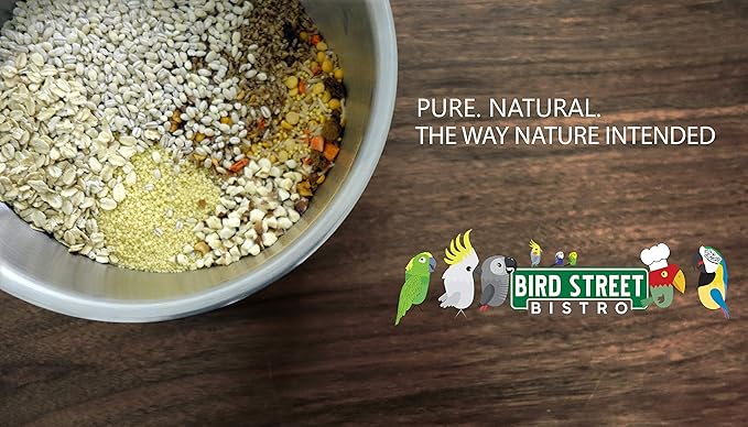 Bird Street Bistro Parrot Food for Parakeets & Cockatiels - Cajun Bean - 20 oz - Cooks in 3-15 min, Natural & Organic Grains, Fruits & Vegetables - USA Made