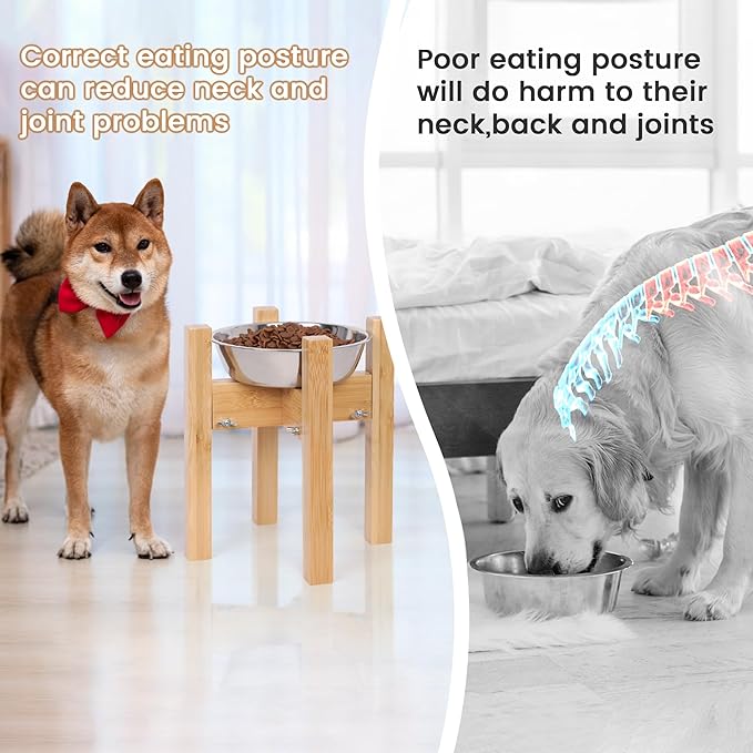 Elevated Dog Bowl Stand,Adjustable Dog Food Stand for 7”-10” Bowls,Single Dog Bowl Holder 10” Tall for Medium Dogs