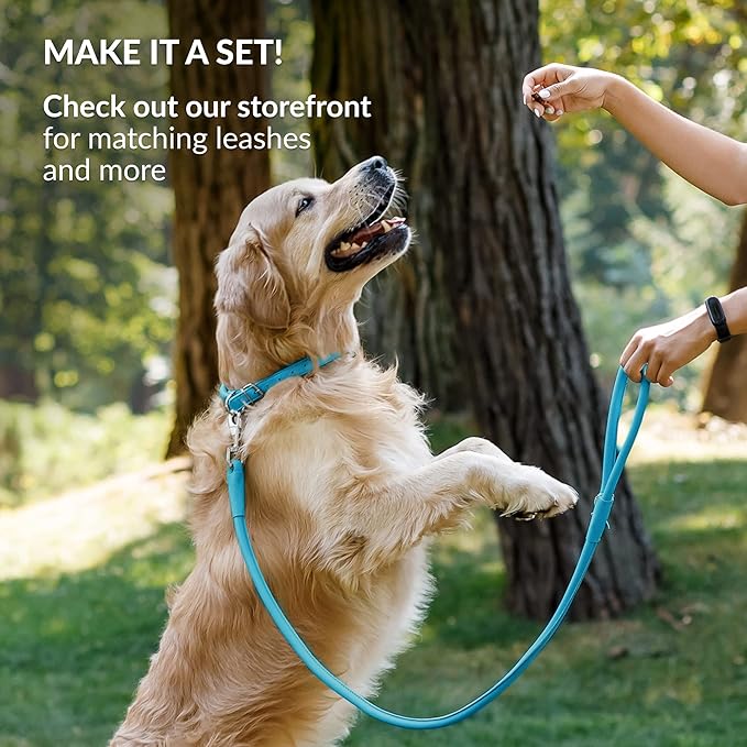 CollarDirect Rolled Leather Dog Collar, Soft Padded Round Puppy Collar, Handmade Genuine Leather Collar Dog Small Large Cat Collars 13 Colors (11-14 Inch, Light Blue)