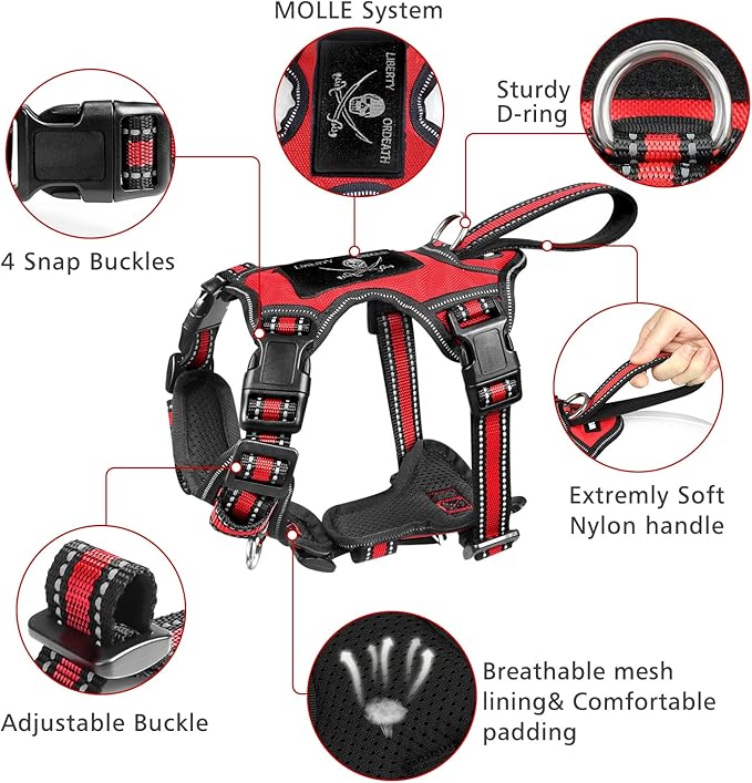WINSEE Pet Harness Collar and Leash Set, All-in-one Reflective Dog Harness No Pull with Adjustable Buckles for Puppies, Small, Medium, Large, and Extra-Large Dogs (Small, Red)