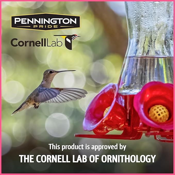 Pennington 100543828 ElectroNectar Hummingbird Food Ready to Use, Clear