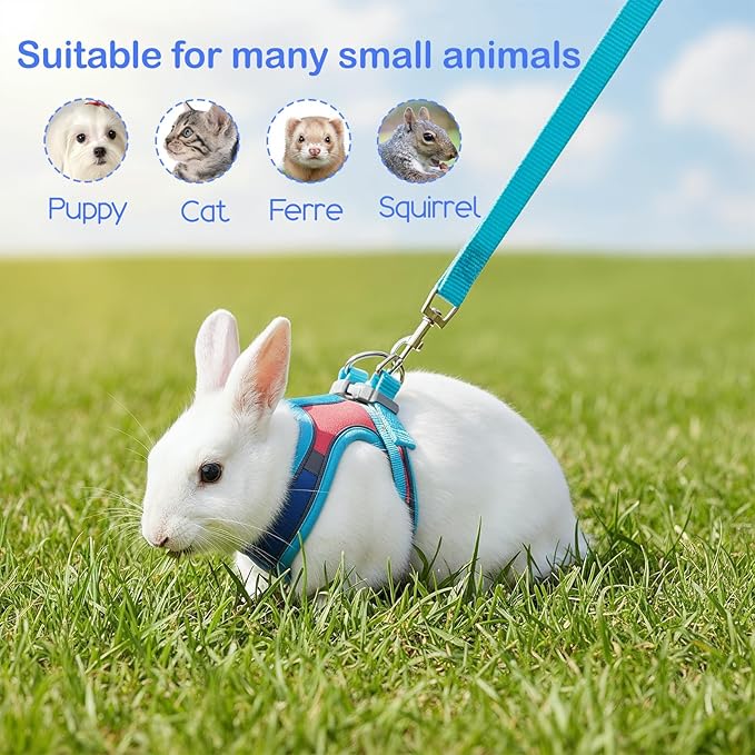 Adjustable Bunny Harness and Leash Set, Double Buckles Breathable Mesh Rabbit Vest with Reflective Strips, Escape Proof Small Pet Walking Training Gear for Rabbits, Kittens, Ferrets, Guinea Pigs (M)