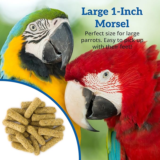 Scenic Corn Jungle Premium Parrot Food - Natural Flavors, High Protein, Low Iron Bird Pellets for Large Parrots, Macaw Food, Cockatoo & African Grey Parrots, Omega 3, Vitamins, Minerals, 2 LB