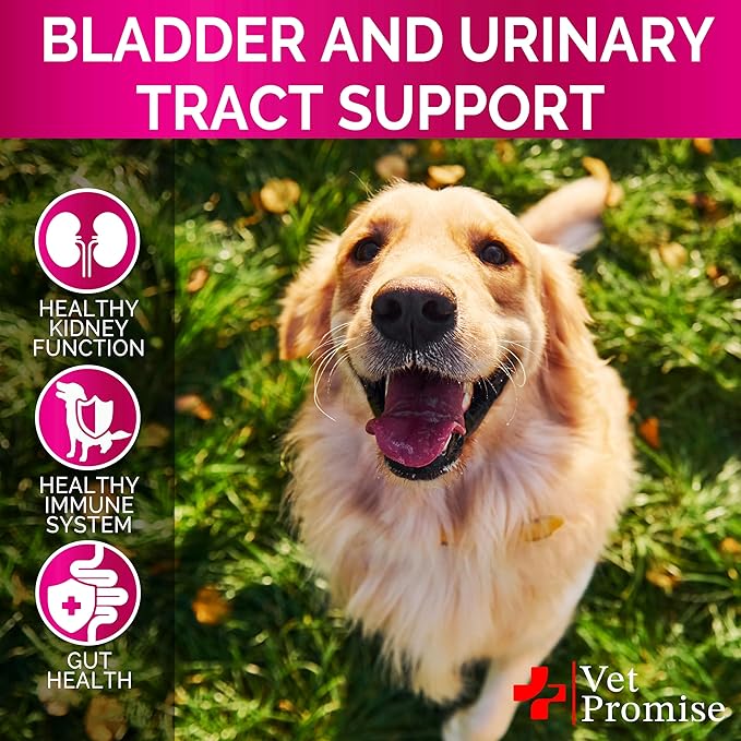 Dog UTI Treatment - Cranberry Supplement for Dogs UTI - Bladder Control - Urinary Tract Infection Treatment Medicine - Cranberry Supplement Vitamins Multivitamin Chews - Made in USA