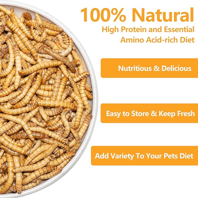 Freeze Dried Mealworms 6 Oz - High Protein Pet Food for Reptiles, Bearded Dragons, Birds & Hedgehogs - Nutrient-Packed Treat for Lizards, Geckos, Turtles, Chickens