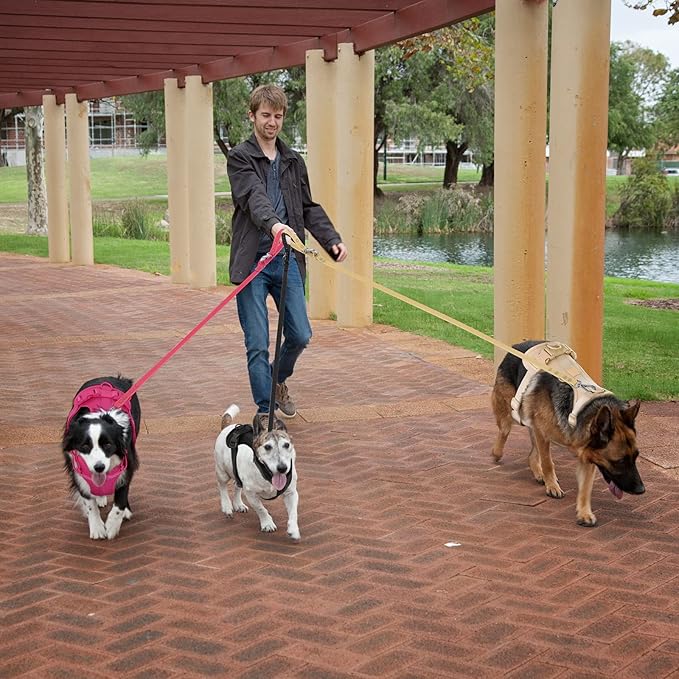Wisedog No Pull Lightweight Dog Vest Harness with Soft and Comfortable Cushion, Breathable Mesh, for Small Medium Large Dogs Walking (S(Neck: 9.84"-14.17";Chest: 14.17"-22.05"), Peacock Pink)