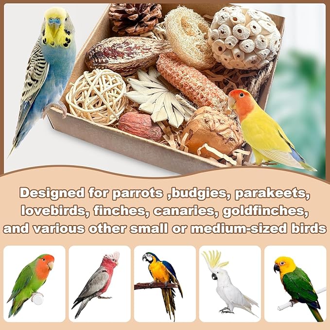 2 in 1 Parrot Toys, Tyotrbs Parakeet Foraging Box DIY Hanging String with Comes with 2 Hooks Bird Toy for Parakeets,Cockatiels,Conures,Love Birds Cage Accessories for Small to Medium Birds