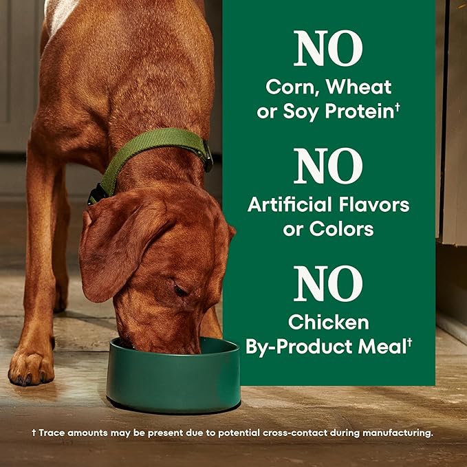 Nutro Natural Choice Chicken & Brown Rice Senior Dog Food Dry Recipe, 30 lb. Bag