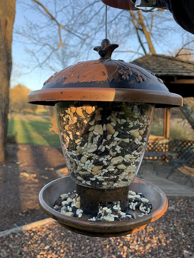 Valley Farms Bird Lover Bundles- Premium Wild Bird Food Gift Packs (4 Pack)