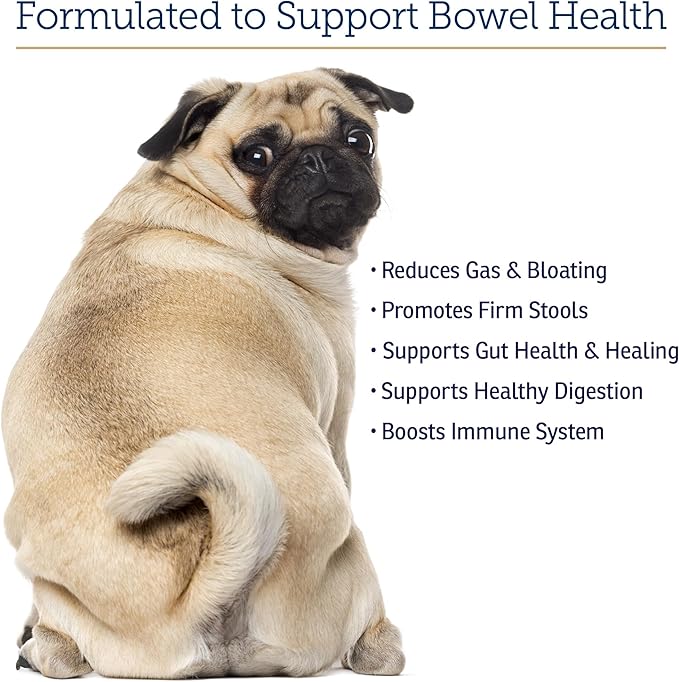 Rx Vitamins NutriGest Capsules for Cats & Dogs - Probiotics for Digestive Health Enhanced with Glucosamine for Gut Health Support - Helps with Constipation Relief and Anti Diarrhea - 90 Capsules